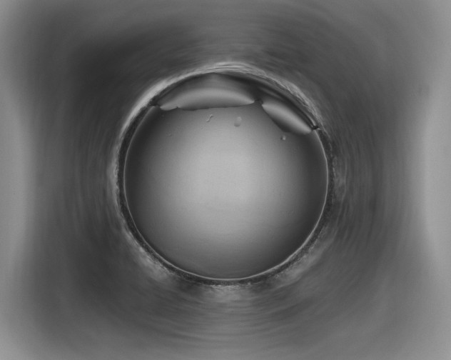 X0000116631422200912111208