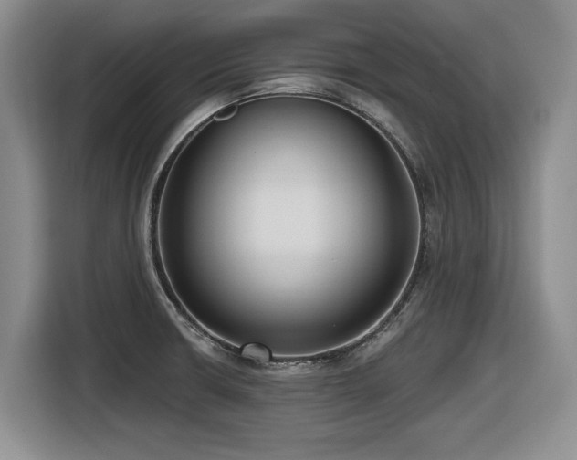 X0000116631426200912111208