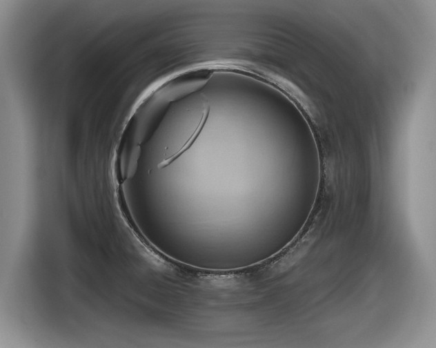 X0000116631428200912111208