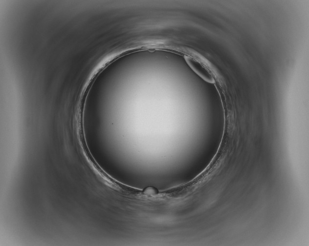 X0000116631432200912111208