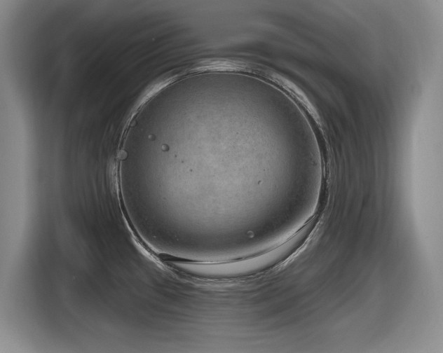 X0000116631433200912111208