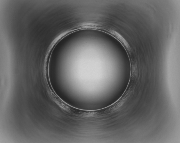 X0000116631435200912111208