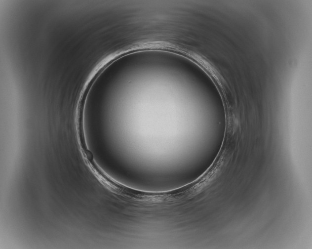 X0000116631438200912111208
