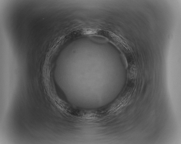 X0000116631441200912111207