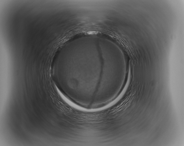 X0000116631443200912111207