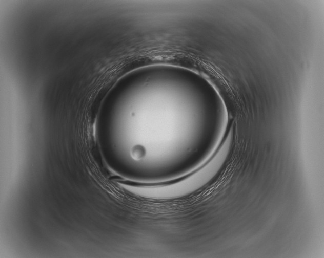 X0000116631444200912111207
