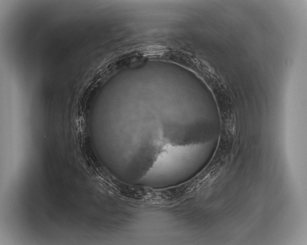 X0000116631445200912111207