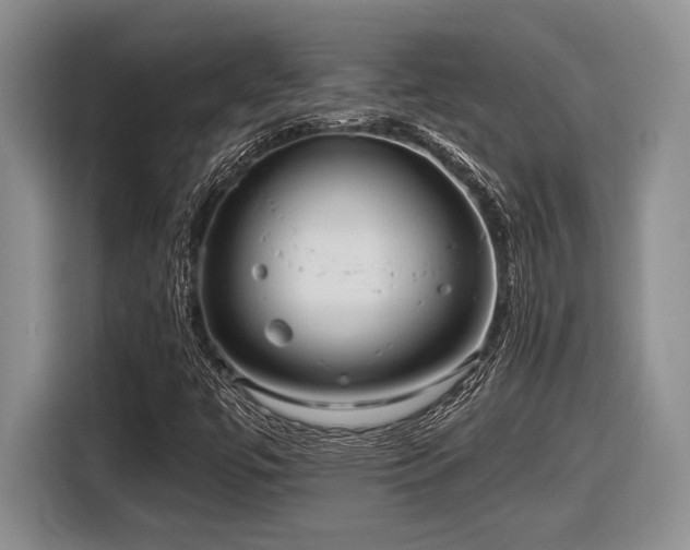 X0000116631447200912111207