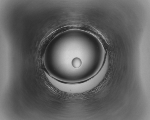 X0000116631448200912111207
