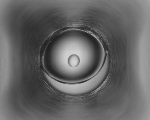 X0000116631449200912111207