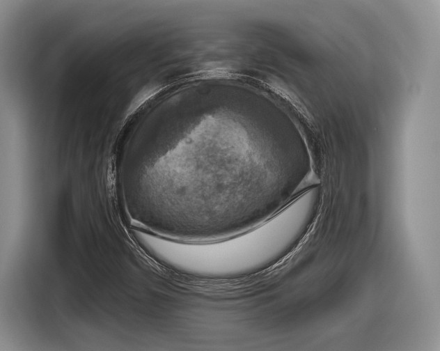 X0000116631450200912111207