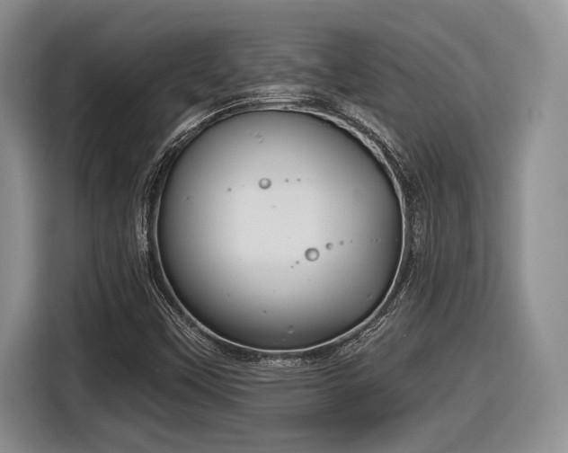 X0000116631451200912111207