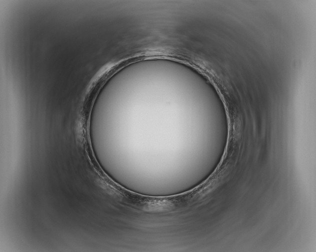X0000116631454200912111207
