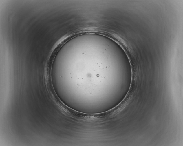 X0000116631458200912111207