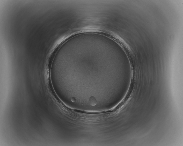 X0000116631461200912111207