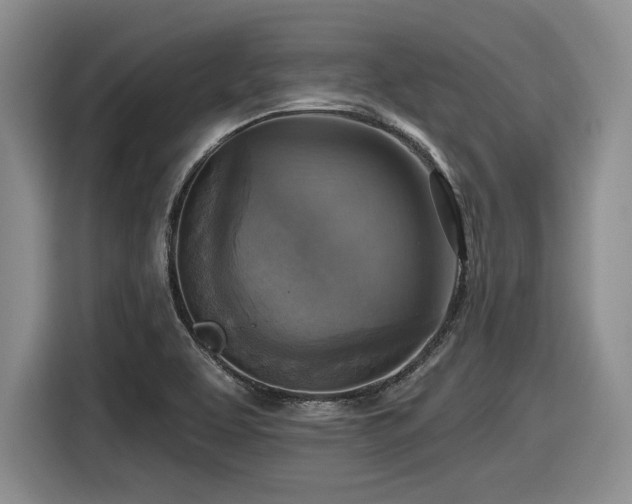 X0000116631463200912111207