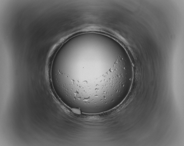 X0000116631464200912111207