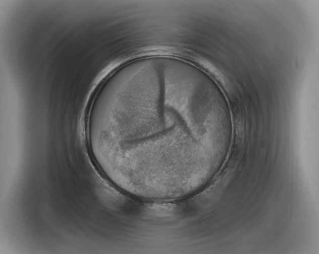 X0000116631466200912111207