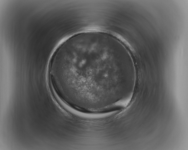 X0000116631469200912111207