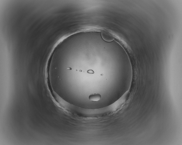 X0000116631471200912111207