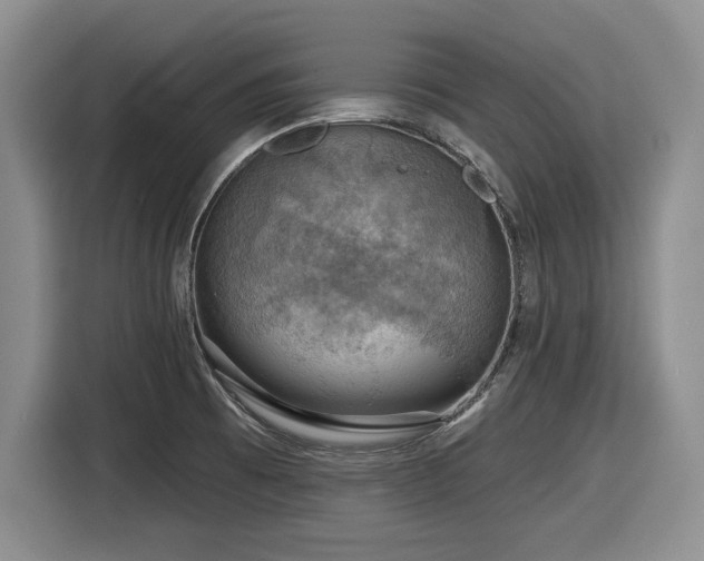 X0000116631473200912111207
