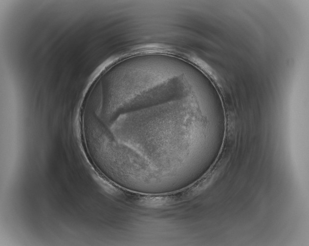 X0000116631474200912111207