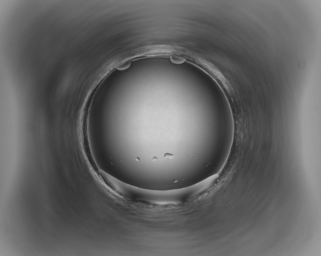 X0000116631475200912111207