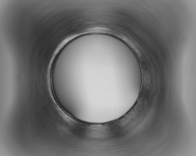 X0000116631478200912111207