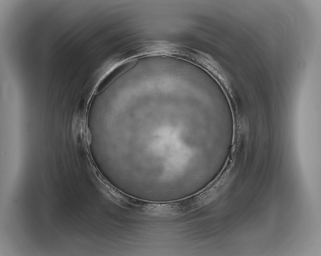 X0000116631481200912111207