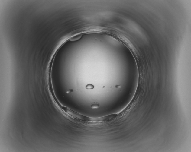 X0000116631483200912111207
