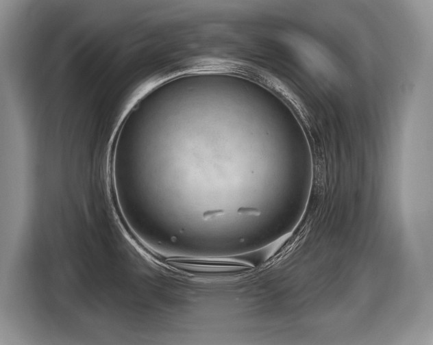 X0000116631487200912111207