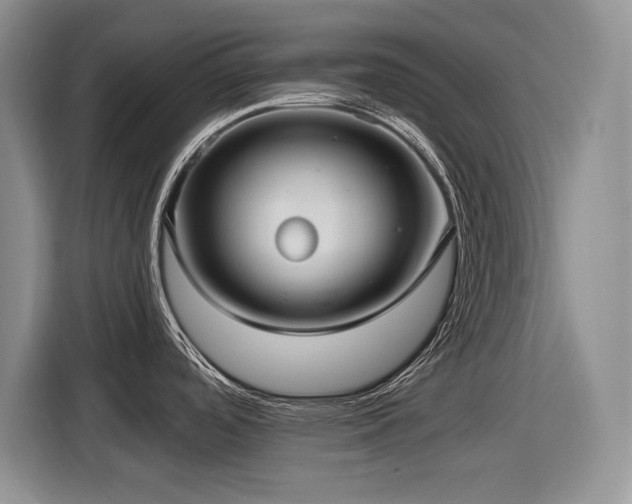 X0000116631488200912111207