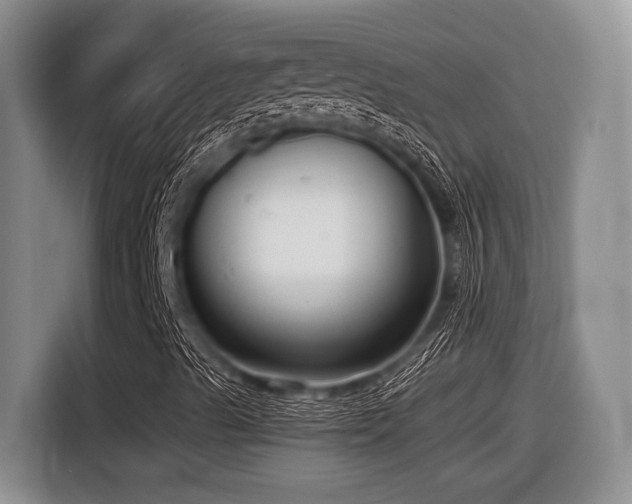 X0000116631489200912111206