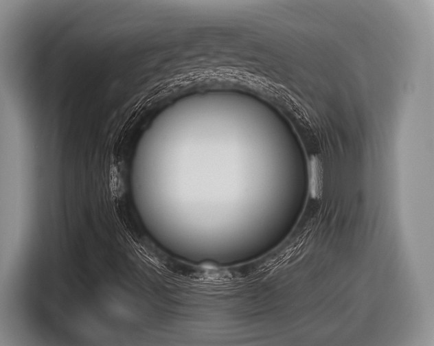 X0000116631491200912111206
