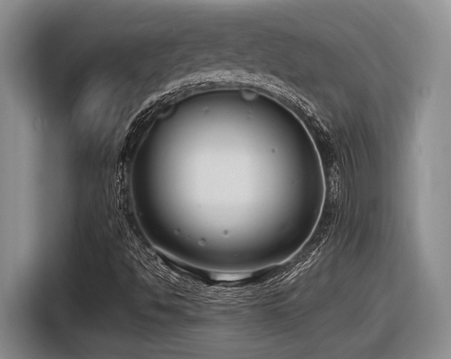 X0000116631494200912111206