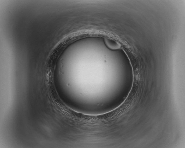 X0000116631495200912111206