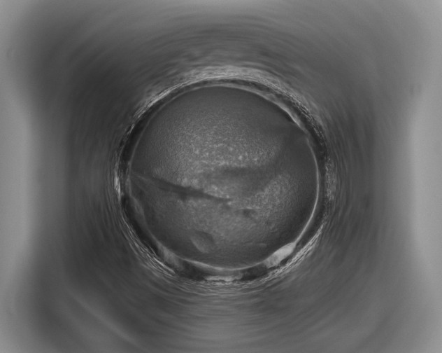 X0000116631497200912111206