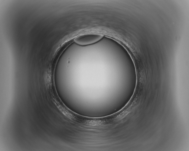 X0000116631499200912111206