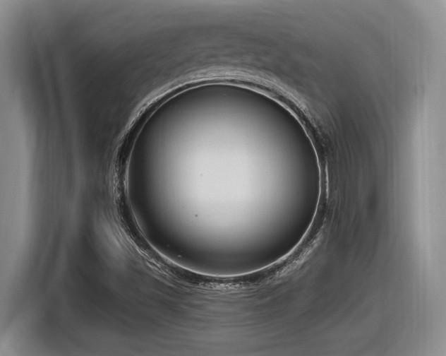 X0000116631501200912111206