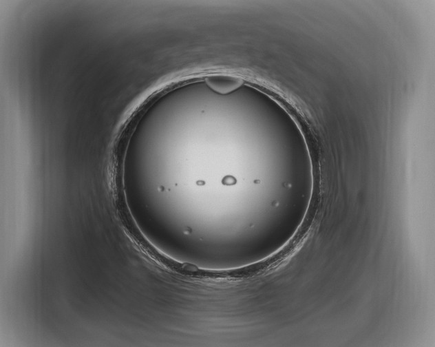 X0000116631502200912111206