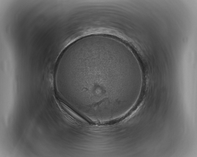 X0000116631505200912111206