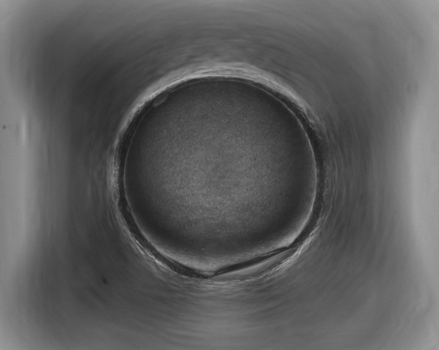 X0000116631506200912111206