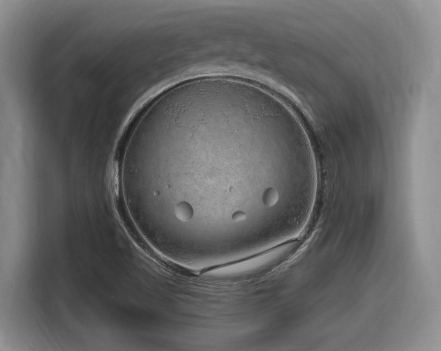 X0000116631509200912111206