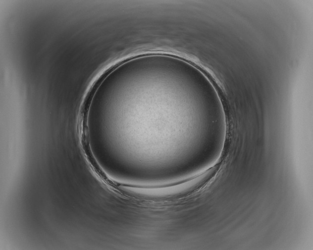 X0000116631511200912111206