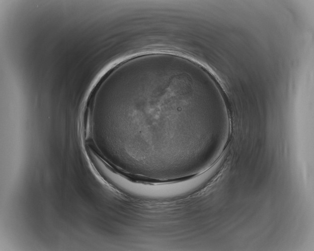 X0000116631515200912111206