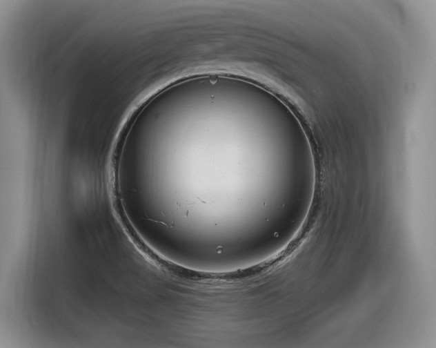 X0000116631517200912111206