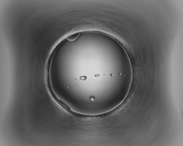 X0000116631518200912111206