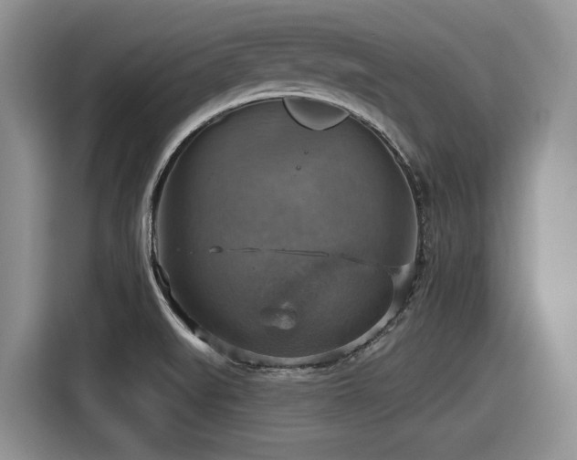 X0000116631519200912111206