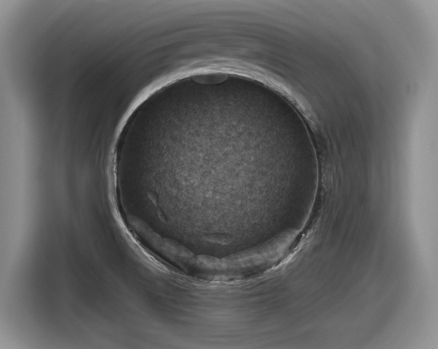 X0000116631522200912111206