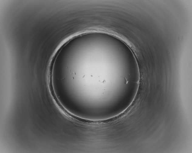 X0000116631523200912111206